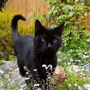 Meet your Posher, Miyah